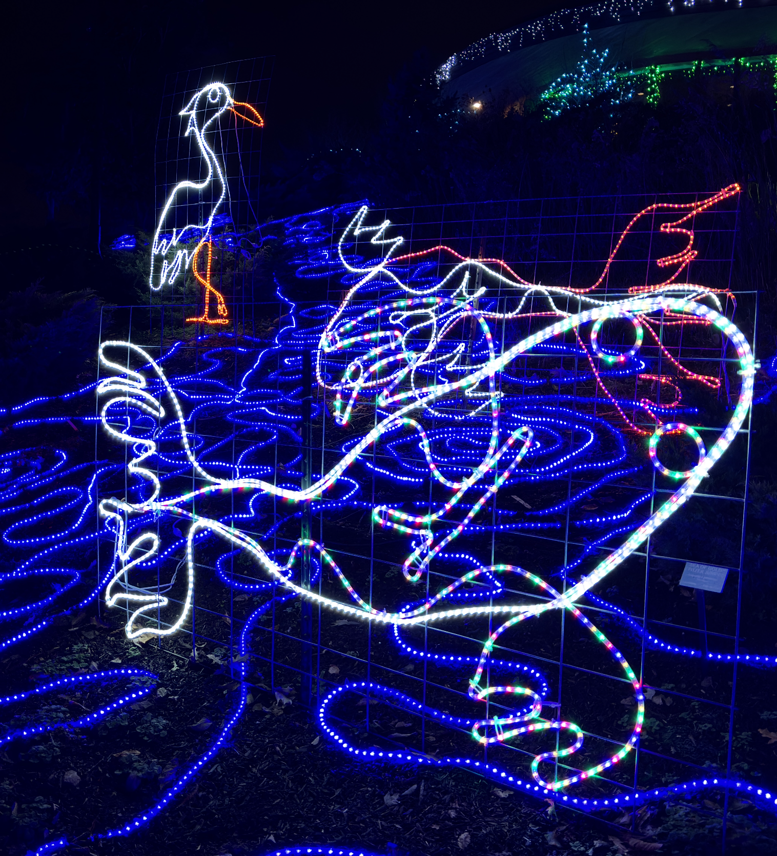 A test of smiling couple holding hands at the altar during an outdoor wedding ceremony in Louisville.
